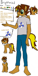 Size: 1080x2160 | Tagged: safe, imported from derpibooru, oc, oc:brightmind, alicorn, anthro, hybrid, plantigrade anthro, pony, barefoot, character info, cutie mark, feet, info, male, reference sheet, stallion