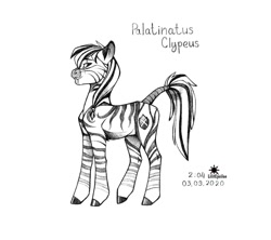 Size: 1280x1139 | Tagged: safe, artist:lilitepsilon, imported from derpibooru, oc, oc only, oc:palatinatus clypeus, pony, zebra, eye scar, grayscale, jewelry, looking at you, male, monochrome, necklace, scar, simple background, sketch, smiling, solo, stallion, tail wrap, time, traditional art, watermark, white background, zebra oc