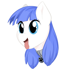 Size: 3000x3000 | Tagged: safe, artist:starlight, imported from derpibooru, oc, oc only, oc:snow pup, pony, :p, bust, collar, happy, panting, pet tag, portrait, simple background, solo, tongue out, transparent background