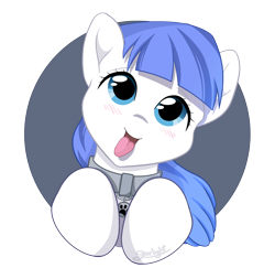 Size: 2058x2000 | Tagged: safe, artist:starlight, imported from derpibooru, oc, oc only, oc:snow pup, pony, :p, blushing, bust, collar, happy, head tilt, panting, pet tag, portrait, simple background, solo, tongue out, transparent background