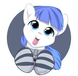 Size: 2058x2000 | Tagged: safe, alternate version, artist:starlight, imported from derpibooru, oc, oc only, oc:snow pup, pony, :p, blushing, bust, clothes, collar, cute, happy, head tilt, panting, pet tag, portrait, simple background, socks, solo, striped socks, tongue out, transparent background