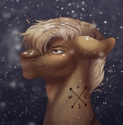 Size: 1760x1785 | Tagged: safe, artist:bluefor3v3r, imported from derpibooru, oc, oc only, oc:zachary edmonds, bat pony, pony, bat pony oc, commission, male, outdoors, resting bitch face, serious, snow, solo, stallion, tattoo