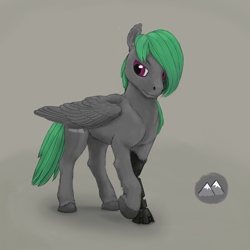 Size: 2560x2560 | Tagged: safe, artist:gammahoof, imported from derpibooru, oc, oc only, oc:mountain pass, pegasus, pony, amputee, high res, male, prosthetic limb, prosthetics, simple background, solo