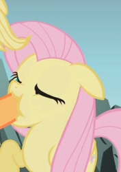 Size: 714x1008 | Tagged: safe, imported from derpibooru, screencap, applejack, fluttershy, dragonshy, cropped, hoof in mouth, misleading thumbnail, not what it looks like, offscreen character, out of context, solo focus