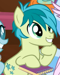 Size: 482x606 | Tagged: safe, imported from derpibooru, screencap, ocellus, sandbar, silverstream, earth pony, pony, the end in friend, cropped, cute, excited, hoof on chin, notebook, sandabetes, smiling, solo focus