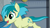 Size: 1185x672 | Tagged: safe, imported from derpibooru, screencap, sandbar, earth pony, pony, school daze, cropped, cute, excited, running, sandabetes, smiling, solo focus, windswept mane