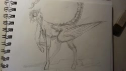 Size: 1632x918 | Tagged: safe, artist:kiwwsplash, imported from derpibooru, oc, oc only, pegasus, pony, augmented tail, eraser, lineart, pegasus oc, raised hoof, sketch, solo, traditional art, wings