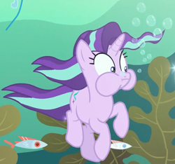 Size: 1154x1081 | Tagged: safe, imported from derpibooru, screencap, starlight glimmer, fish, pony, unicorn, every little thing she does, bubble, female, holding breath, mare, puffy cheeks, seaweed, solo, underwater, water, wide eyes