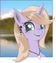 Size: 1894x2122 | Tagged: safe, artist:aquilateagle, imported from derpibooru, oc, oc only, oc:lilac atropina, pony, unicorn, outside the borders, solo, vector