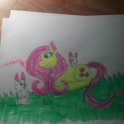 Size: 1080x1080 | Tagged: safe, artist:cheybonn_thunder, imported from derpibooru, fluttershy, pegasus, pony, rabbit, animal, female, grass, lying down, mare, missing wing, prone, traditional art