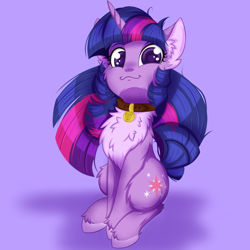 Size: 2500x2500 | Tagged: safe, artist:rurihal, imported from derpibooru, twilight sparkle, pony, unicorn, behaving like a dog, cheek fluff, chest fluff, collar, cute, ear fluff, fluffy, hoof fluff, owo, pale belly, pet tag, pony pet, solo, twiabetes, unicorn twilight