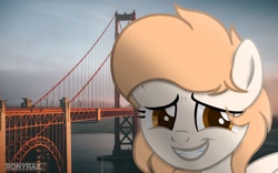 Size: 1280x800 | Tagged: safe, artist:indonesiarailroadpht, artist:ponyrailartist, imported from derpibooru, oc, oc only, pegasus, pony, golden gate bridge, irl, pegasus oc, photo, ponies in real life, raffle prize, san francisco, show accurate, wings