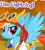 Size: 370x407 | Tagged: safe, imported from derpibooru, screencap, rainbow dash, pegasus, pony, game screencap, gameloft, meme, pirate dash, wow! glimmer