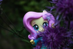 Size: 1600x1067 | Tagged: safe, artist:7yashka7, imported from derpibooru, fluttershy, equestria girls, cute, doll, female, macro photography, photo, shyabetes, solo, thistle, toy
