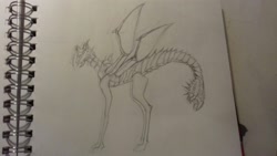 Size: 1632x918 | Tagged: safe, artist:kiwwsplash, imported from derpibooru, oc, oc only, original species, augmented tail, lineart, notebook, sketch, traditional art