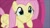 Size: 1280x720 | Tagged: safe, imported from derpibooru, screencap, fluttershy, bird, duck, duck pony, pegasus, season 9, sweet and smoky, spoiler:s09, cute, daaaaaaaaaaaw, duckface, female, shyabetes