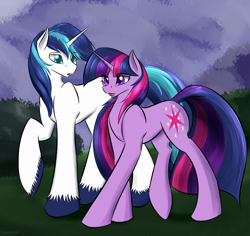 Size: 2520x2380 | Tagged: safe, artist:renarde-louve, imported from derpibooru, shining armor, twilight sparkle, pony, unicorn, brother and sister, duo, female, male, siblings, unicorn twilight