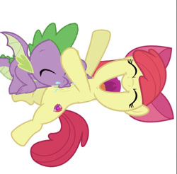Size: 724x711 | Tagged: safe, artist:princessdestiny200i, edit, imported from derpibooru, vector edit, apple bloom, spike, dragon, earth pony, pony, apple bloom's bow, bow, cutie mark, drool, eyes closed, female, filly, hair bow, laughing, lying down, male, on back, open mouth, raised hoof, raspberry, shipping, simple background, spikebloom, straight, tickle torture, tickling, tongue out, tummy buzz, uvula, vector, white background, winged spike, wings