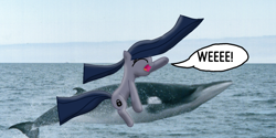Size: 1200x600 | Tagged: safe, artist:crossovercartoons, edit, editor:crossovercartoons, imported from derpibooru, oc, oc only, oc:minkie pie, earth pony, pony, whale, cute, digital art, draw edit, drawing, eyes closed, happy, ocean, riding, solo, speech bubble, water