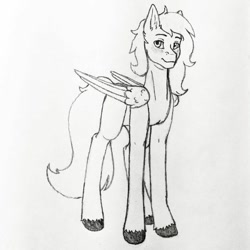 Size: 750x751 | Tagged: safe, artist:little_miss_sketch, artist:little_ms_sketch, imported from derpibooru, oc, oc only, oc:dr.heart, clydesdale, pegasus, male, smiling, stallion, traditional art, wings