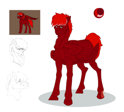 Size: 4000x3608 | Tagged: safe, artist:anelaponela, imported from derpibooru, oc, oc only, pegasus, pony, ear fluff, looking at you, male, red eyes, reference, simple background, solo, wings