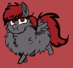 Size: 422x390 | Tagged: safe, artist:katiex-factor, imported from derpibooru, oc, oc:dicemare, pegasus, pony, adorable face, chest fluff, colored sketch, cute, digital art, fluffy, funny face, silly, silly face, sketch, wings