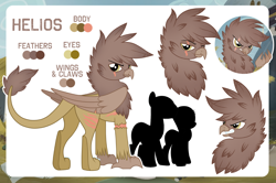 Size: 1200x798 | Tagged: safe, artist:jennieoo, imported from derpibooru, oc, oc only, oc:helios flinch, griffon, angry, butt, one eye closed, plot, reference, reference sheet, scar, scared, show accurate, solo, vector, wink