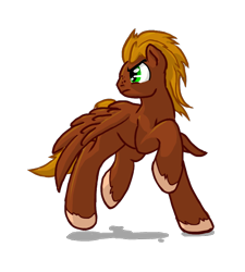 Size: 666x739 | Tagged: safe, artist:compound lift, oc, oc only, oc:chinook, pegasus, pony, /mlp/, fourcannon, male, simple background, solo, spread wings, stallion, transparent background, unshorn fetlocks, wings