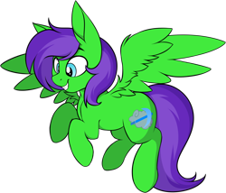 Size: 1052x900 | Tagged: safe, artist:notetaker, imported from derpibooru, oc, oc only, oc:raulix evergreen, pegasus, pony, derpibooru community collaboration, 2021 community collab, green body, grin, gritted teeth, male, purple hair, simple background, smiling, solo, transparent background, wings