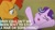 Size: 1920x1080 | Tagged: safe, edit, edited screencap, editor:quoterific, imported from derpibooru, screencap, starlight glimmer, sunburst, pony, unicorn, the parent map, female, male, mare, stallion