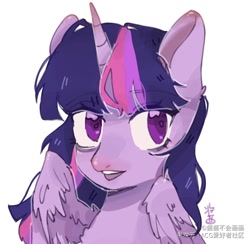 Size: 1018x992 | Tagged: safe, artist:酱酱不会画画, imported from derpibooru, twilight sparkle, alicorn, pony, bust, female, looking at you, portrait, solo, twilight sparkle (alicorn)