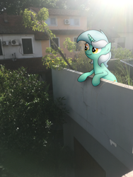 Size: 3024x4032 | Tagged: safe, artist:background basset, imported from derpibooru, lyra heartstrings, pony, unicorn, bipedal, bipedal leaning, female, house, irl, leaning, photo, ponies in real life, real life background, solo, tree