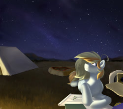 Size: 1280x1139 | Tagged: safe, artist:tigra0118, imported from derpibooru, oc, oc only, pegasus, pony, book, digital art, female, my little pony, night, solo, stars, tent