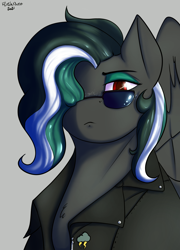 Size: 1289x1791 | Tagged: safe, artist:flashnoteart, imported from derpibooru, oc, oc only, oc:messer, pegasus, pony, bust, clothes, commission, female, glasses, jacket, leather jacket, portrait, red eyes, serious, solo