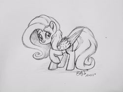 Size: 2578x1935 | Tagged: safe, artist:binkyt11, imported from derpibooru, fluttershy, pegasus, pony, female, mare, monochrome, raised hoof, simple background, solo, traditional art, white background