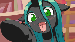 Size: 960x540 | Tagged: safe, artist:siagia, edit, editor:maonyman, imported from derpibooru, queen chrysalis, changeling, changeling queen, adorable face, animated at source, blushing, cel shading, cute, cute little fangs, cutealis, fangs, female, floppy ears, hnnng, imminent boop, library, looking at you, open mouth, raised hoof, shading, silly, silly changeling, smiling, solo, tongue out, underhoof, weapons-grade cute