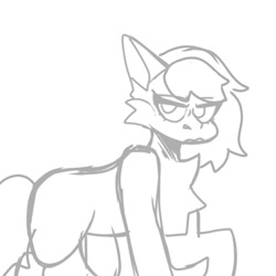 Size: 1000x1000 | Tagged: safe, artist:neonbugzz, imported from derpibooru, oc, oc only, earth pony, pony, chest fluff, earth pony oc, lineart, monochrome, raised hoof, solo