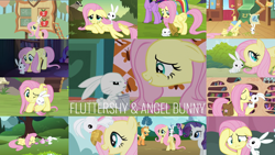 Size: 1974x1111 | Tagged: safe, edit, edited screencap, editor:quoterific, imported from derpibooru, screencap, angel bunny, applejack, fluttershy, owlowiscious, rainbow dash, rarity, twilight sparkle, alicorn, a trivial pursuit, dragonshy, fall weather friends, hurricane fluttershy, may the best pet win, putting your hoof down, she talks to angel, the ticket master, too many pinkie pies, yakity-sax, gala ticket, golden oaks library, twilight sparkle (alicorn)