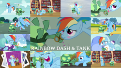 Size: 1280x722 | Tagged: safe, edit, edited screencap, editor:quoterific, imported from derpibooru, screencap, rainbow dash, tank, pegasus, pony, tortoise, just for sidekicks, may the best pet win, tanks for the memories, blushing, coach rainbow dash, female, golden oaks library, male, mare