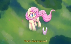 Size: 1284x794 | Tagged: safe, artist:musicfirewind, artist:wavecipher, imported from derpibooru, angel bunny, fluttershy, pegasus, pony, rabbit, animal, cute, duo, female, folded wings, grass, head turned, looking at each other, looking at someone, mare, outdoors, shyabetes, smiling, standing, subtitles, turned head, windswept mane, windswept tail, wings