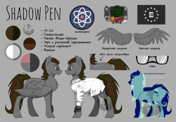 Size: 13527x9406 | Tagged: artist needed, safe, artist:alrumoon.art, artist:alrumoon_art, imported from derpibooru, imported from ponybooru, oc, oc only, oc:shadow pan, pegasus, pony, fallout equestria, absurd resolution, clothes, enclave, male, pipbuck, reference sheet, scientist, solo