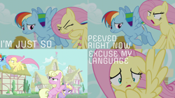 Size: 2000x1125 | Tagged: safe, edit, edited screencap, editor:quoterific, imported from derpibooru, screencap, dinky hooves, fluttershy, millie, rainbow dash, flutter brutter, peeved