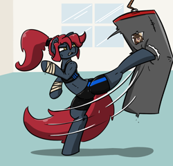 Size: 1266x1216 | Tagged: safe, artist:n-o-n, imported from derpibooru, oc, oc only, oc:jessi-ka, oc:louvely, earth pony, pony, angry, badass, bipedal, clothes, fight, kicking, punching bag, shorts, solo, sports bra, sports shorts, sporty style, sweat, sweatdrop