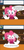 Size: 500x1058 | Tagged: safe, artist:sonic-chaos, imported from derpibooru, pinkie pie, earth pony, pony, fanfic:cupcakes, alicorn amulet, ask, bioshock, bioshock infinite, cleaver, dark joke, four string samurai, joke, solo, the legend of zelda, the legend of zelda: majora's mask