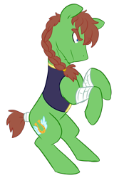 Size: 2765x3816 | Tagged: safe, artist:chub-wub, imported from derpibooru, oc, oc only, oc:swift stride, earth pony, pony, bandage, braid, braided ponytail, clothes, earth pony oc, high res, male, rearing, simple background, smiling, smirk, solo, solo male, stallion, tail wrap, transparent background, vest