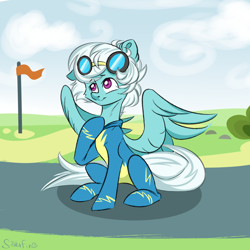 Size: 4000x4000 | Tagged: safe, artist:silverfir, imported from derpibooru, fleetfoot, pegasus, pony, clothes, cloudsdale, commission, female, flag, goggles, happy, mare, raised hoof, signature, sitting, smiling, solo, spread wings, training, uniform, wings, wonderbolts, wonderbolts uniform