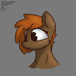 Size: 3000x3000 | Tagged: safe, artist:phlerius, imported from derpibooru, oc, oc only, pony, digital art, my little pony, solo