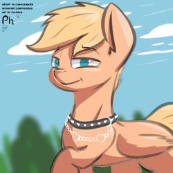 Size: 4000x4000 | Tagged: safe, artist:phlerius, imported from derpibooru, oc, oc only, pegasus, pony, collar, digital art, male, my little pony, solo, spiked collar, stallion