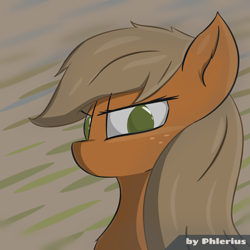 Size: 2200x2200 | Tagged: safe, artist:phlerius, imported from derpibooru, applejack, earth pony, pony, bust, digital art, female, mare, my little pony, solo