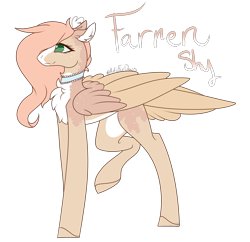 Size: 3180x3072 | Tagged: safe, artist:articfoxdraws, imported from derpibooru, oc, oc only, oc:farren shy, pegasus, pony, blaze (coat marking), chest fluff, choker, coat markings, ear fluff, facial markings, female, freckles, mare, markings, offspring, pale belly, parent:big macintosh, parent:fluttershy, parents:fluttermac, raised hoof, simple background, solo, tail feathers, transparent background